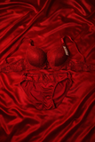 Luxury Red Bridal Bra Set – Lace & Satin Comfort Wear