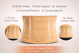 Nestnwear Tummy Belt with 4 Support Rods | Waist Shaper & Back Support Belt for Men & Women